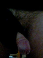 morfeas