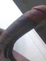 darkmeat
