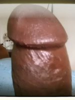 hungrycock