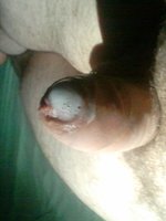 mrx.askme
