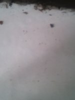 Niponprompakdee2