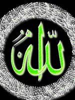 mohamedetzaineb
