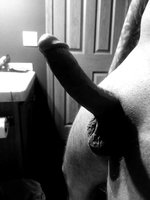 Hung4fun46580