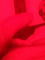 SexToyBoy36