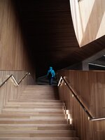 Turdiform