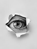 HiddenCam