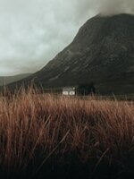 lurgan