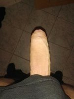 patte288