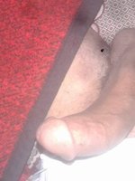 mz119455