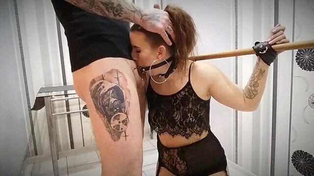 bunnyandthebear