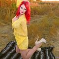 Shanda Fay